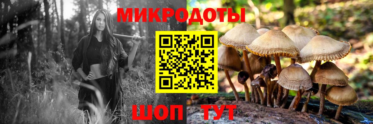 Псилоцибиновые грибы GOLDEN TEACHER  Псилоцибиновые грибы прущие грибы  Кемерово  Вход с VPN 